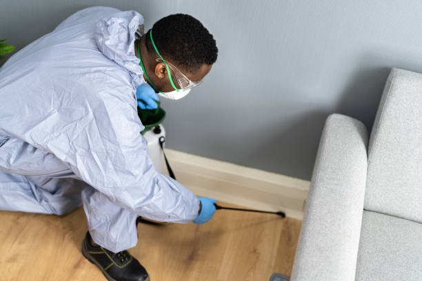 Best Real Estate Pest Inspections  in Clinton, NY